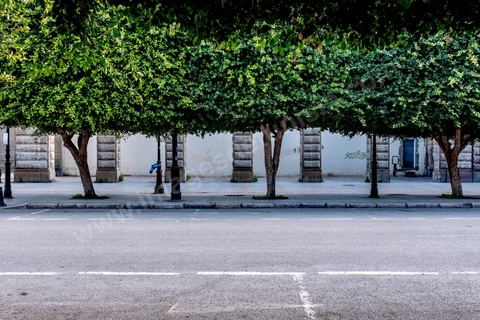 4 avril 2020 : le centre ville de Tunis et ses grandes artères dont l'avenue Habib Bourguiba sont désertées pendant le confinement imposé par l'état à cause du Covid19. A partir de 18h et jusqu'à 6h du matin un couvre feu a aussi été instauré durant cette période. 