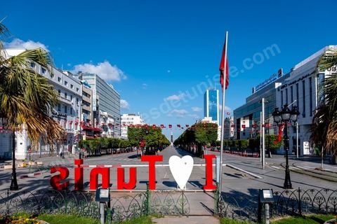 4 avril 2020 : le centre ville de Tunis et ses grandes artères dont l'avenue Habib Bourguiba sont désertées pendant le confinement imposé par l'état à cause du Covid19. A partir de 18h et jusqu'à 6h du matin un couvre feu a aussi été instauré durant cette période. 
