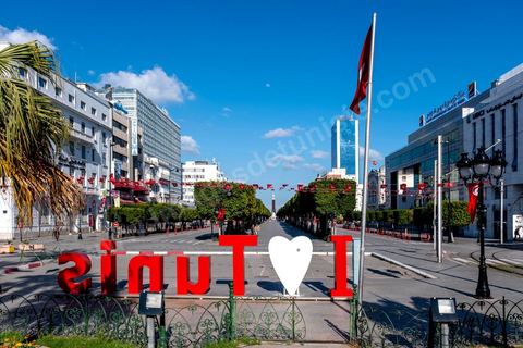 4 avril 2020 : le centre ville de Tunis et ses grandes artères dont l'avenue Habib Bourguiba sont désertées pendant le confinement imposé par l'état à cause du Covid19. A partir de 18h et jusqu'à 6h du matin un couvre feu a aussi été instauré durant cette période. 