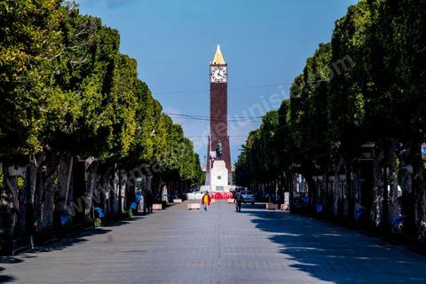 4 avril 2020 : le centre ville de Tunis et ses grandes artères dont l'avenue Habib Bourguiba sont désertées pendant le confinement imposé par l'état à cause du Covid19. A partir de 18h et jusqu'à 6h du matin un couvre feu a aussi été instauré durant cette période. 