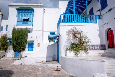27 mars 2020 : le village touristique de Sidi Bou Saïd pendant le confinement général du au Covid19. D'habitude rempli de tunisiens et de touristes le village est déserté, suels quelmques habitants circulent pour faire leurs courses. 