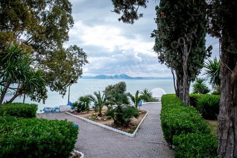 27 mars 2020 : le village touristique de Sidi Bou Saïd pendant le confinement général du au Covid19. D'habitude rempli de tunisiens et de touristes le village est déserté, suels quelmques habitants circulent pour faire leurs courses. 