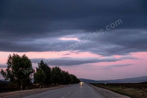 10 décembre 2020 : La nuit sur les routes dans la région de Haidra, les pickups des contrebandiers roulent à pleine vitesse chargés d'essence et de produits divers venant d'Algérie.