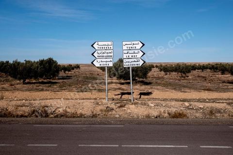 10 décembre 2020 : dans la région de Haidra proche de la frontière  algérienne