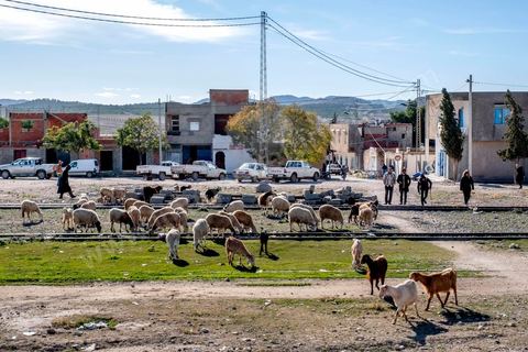 10 décembre 2020 : la ville de Haidra, petite ville de 4000 âmes dasn l'ouest tunisien à ùoins de 10 km de l'Algérie.