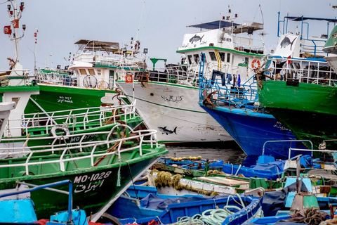 Le port de Teboulba, le plus important port de pêche et chantier naval de la région, est au coeur des réseaux de passeurs du Sahel tunisien