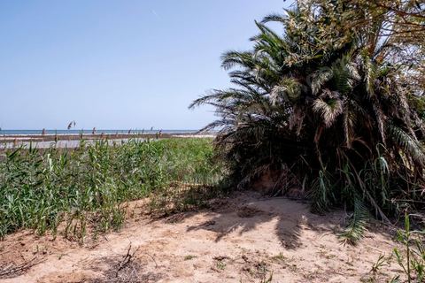 A la sortie de Ksibet, entre Monastir et Teboulba, les champs d'oliviers en bord de mer sont des lieux de planques des jeunes avant de rejoindre de nuit les barques pour rejoindre le bateau qui doit les mener en Italie. 