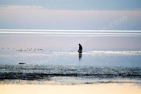 Adjim, sur la côte sud-ouest de Djerba, est le point de départ du bac qui relie l'île au continent, à Jorf, à travers le chenal séparant Djerba de la Tunisie continentale. Le port, encore marqué par une activité de pêche traditionnelle, offre des ambiances changeantes au fil de la journée, entre lever et coucher de soleil sur la mer, bateaux amarrés et silhouettes des jetées.