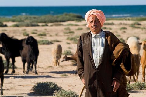 Adjim, sur la côte sud-ouest de Djerba, est le point de départ du bac qui relie l'île au continent, à Jorf, à travers le chenal séparant Djerba de la Tunisie continentale. Le port, encore marqué par une activité de pêche traditionnelle, offre des ambiances changeantes au fil de la journée, entre lever et coucher de soleil sur la mer, bateaux amarrés et silhouettes des jetées.