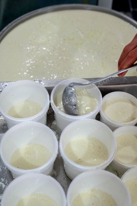 Zied Ben Youssef est fromager, sur les hauteurs de Béja il fait du fromage de Brebis et de vache mais aussi vous invite à sa table d'hôte pour déguster le couscous traditionnel de Béja. Il fait partie du projet de l’Union Européenne ‘Lactimed’. Le fromage est fait en direct au coeur du restaurant avec la transformation quotidienne de 20 à 40 L de lait de fromage frais et ricotta.C’est l’occasion aussi de déguster des produits laitiers frais : du yaourt, de la ricotta, du beurre et du lait de brebis.