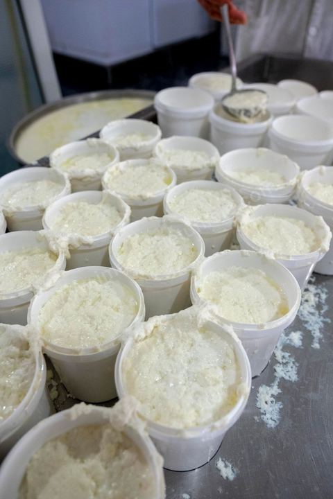 Zied Ben Youssef est fromager, sur les hauteurs de Béja il fait du fromage de Brebis et de vache mais aussi vous invite à sa table d'hôte pour déguster le couscous traditionnel de Béja. Il fait partie du projet de l’Union Européenne ‘Lactimed’. Le fromage est fait en direct au coeur du restaurant avec la transformation quotidienne de 20 à 40 L de lait de fromage frais et ricotta.C’est l’occasion aussi de déguster des produits laitiers frais : du yaourt, de la ricotta, du beurre et du lait de brebis.