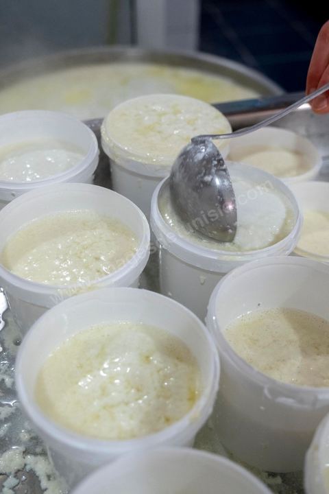 Zied Ben Youssef est fromager, sur les hauteurs de Béja il fait du fromage de Brebis et de vache mais aussi vous invite à sa table d'hôte pour déguster le couscous traditionnel de Béja. Il fait partie du projet de l’Union Européenne ‘Lactimed’. Le fromage est fait en direct au coeur du restaurant avec la transformation quotidienne de 20 à 40 L de lait de fromage frais et ricotta.C’est l’occasion aussi de déguster des produits laitiers frais : du yaourt, de la ricotta, du beurre et du lait de brebis.