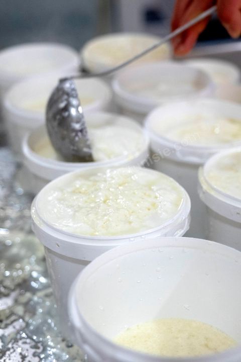 Zied Ben Youssef est fromager, sur les hauteurs de Béja il fait du fromage de Brebis et de vache mais aussi vous invite à sa table d'hôte pour déguster le couscous traditionnel de Béja. Il fait partie du projet de l’Union Européenne ‘Lactimed’. Le fromage est fait en direct au coeur du restaurant avec la transformation quotidienne de 20 à 40 L de lait de fromage frais et ricotta.C’est l’occasion aussi de déguster des produits laitiers frais : du yaourt, de la ricotta, du beurre et du lait de brebis.