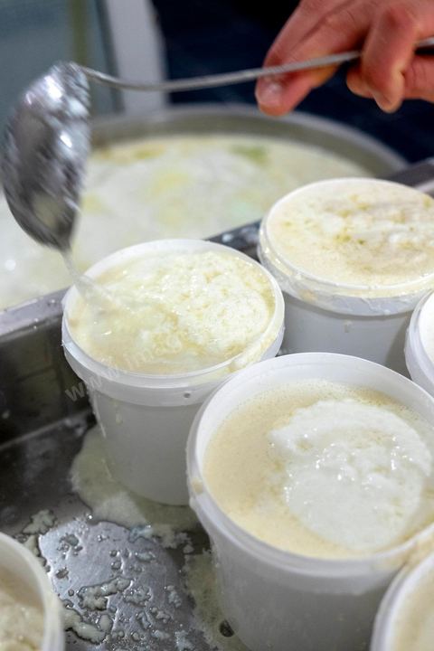 Zied Ben Youssef est fromager, sur les hauteurs de Béja il fait du fromage de Brebis et de vache mais aussi vous invite à sa table d'hôte pour déguster le couscous traditionnel de Béja. Il fait partie du projet de l’Union Européenne ‘Lactimed’. Le fromage est fait en direct au coeur du restaurant avec la transformation quotidienne de 20 à 40 L de lait de fromage frais et ricotta.C’est l’occasion aussi de déguster des produits laitiers frais : du yaourt, de la ricotta, du beurre et du lait de brebis.
