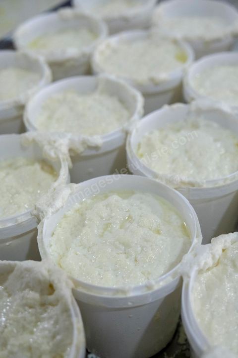 Zied Ben Youssef est fromager, sur les hauteurs de Béja il fait du fromage de Brebis et de vache mais aussi vous invite à sa table d'hôte pour déguster le couscous traditionnel de Béja. Il fait partie du projet de l’Union Européenne ‘Lactimed’. Le fromage est fait en direct au coeur du restaurant avec la transformation quotidienne de 20 à 40 L de lait de fromage frais et ricotta.C’est l’occasion aussi de déguster des produits laitiers frais : du yaourt, de la ricotta, du beurre et du lait de brebis.