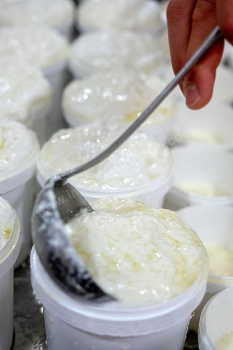 Zied Ben Youssef est fromager, sur les hauteurs de Béja il fait du fromage de Brebis et de vache mais aussi vous invite à sa table d'hôte pour déguster le couscous traditionnel de Béja. Il fait partie du projet de l’Union Européenne ‘Lactimed’. Le fromage est fait en direct au coeur du restaurant avec la transformation quotidienne de 20 à 40 L de lait de fromage frais et ricotta.C’est l’occasion aussi de déguster des produits laitiers frais : du yaourt, de la ricotta, du beurre et du lait de brebis.