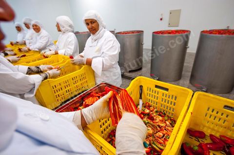 Opération de découpe des piments doux aux Moulins Mahjoub à Tébourba près de Tunis. Agriculture et produits Biologiques.
