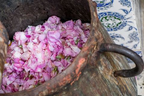Distillation traditionnelle de fleurs de rose dans maison de la région de Nabeul au Cap Bon. L'eau et l'essence de rose proviennent de la distillation des fleurs de rose. La distillation est conduite très doucement sur le feu, l'hydrolat coule dans des Marie-Jeannes en verre. Le distillat coule légèrement tiède. 1 kg de pétale produit environ 1,5 litres d'eau de roses.