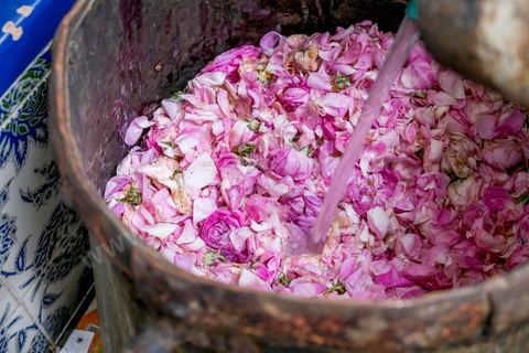 Distillation traditionnelle de fleurs de rose dans maison de la région de Nabeul au Cap Bon. L'eau et l'essence de rose proviennent de la distillation des fleurs de rose. La distillation est conduite très doucement sur le feu, l'hydrolat coule dans des Marie-Jeannes en verre. Le distillat coule légèrement tiède. 1 kg de pétale produit environ 1,5 litres d'eau de roses.