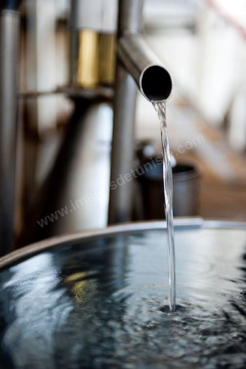 Eau d'oranger sortant de l'alambic. Distillerie de fleurs d'orangers de Bigaradier, production d'essence et d'eau de Fleurs d'orangers à la distillerie Carthago Essences à Tunis. La distillerie fut créée il y a plusieurs générations par la famille et est tenue aujourd'hui par la petite fille et passionnée Thouraya.
