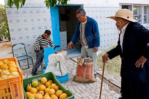 Marché traditionnel des fleurs d'orangers à , les cultivateurs apportent ici leur cueillette destinées aux producteurs et particuliers. 
