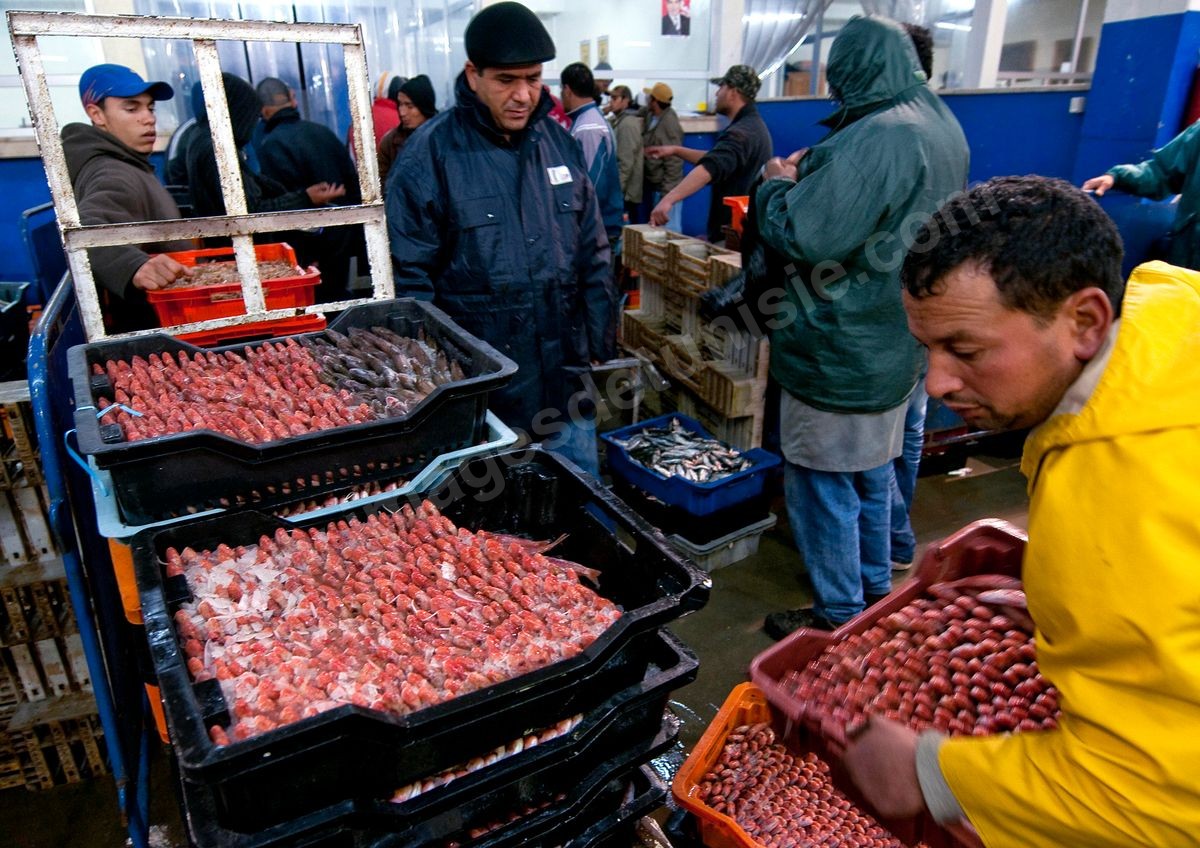 Le marché de gros