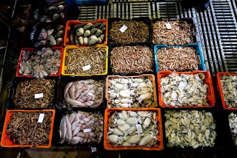Etalage de caisses de poissons et de fruits de mer à la Halle aux poissons du marché de gros de Tunis à El Mourouj