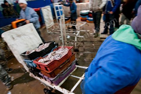 caisse de poissons après la pesée à la Halle aux poissons du marché de gros de Tunis à El Mourouj