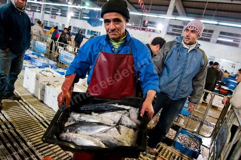 Vendeur avec caisse de poissons à la Halle aux poissons du marché de gros de Tunis à El Mourouj