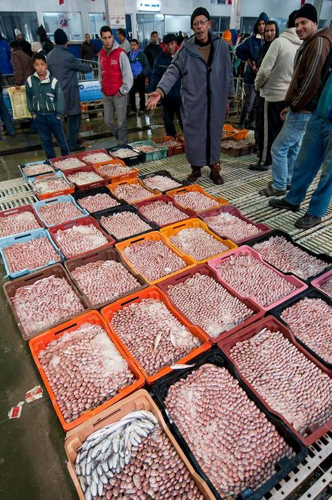 caisses de poissons à la Halle aux poissons du marché de gros de Tunis à El Mourouj