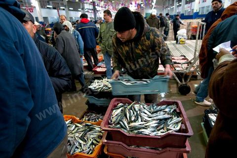 caisses de poissons à la Halle aux poissons du marché de gros de Tunis à El Mourouj