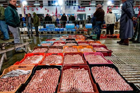 caisses de poissons à la Halle aux poissons du marché de gros de Tunis à El Mourouj