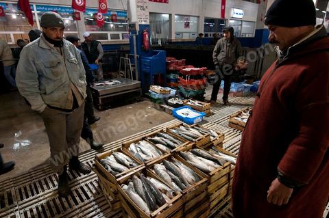 caisses de poissons à la Halle aux poissons du marché de gros de Tunis à El Mourouj
