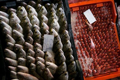 caisses de poissons à la Halle aux poissons du marché de gros de Tunis à El Mourouj