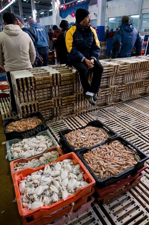 caisses de poissons à la Halle aux poissons du marché de gros de Tunis à El Mourouj