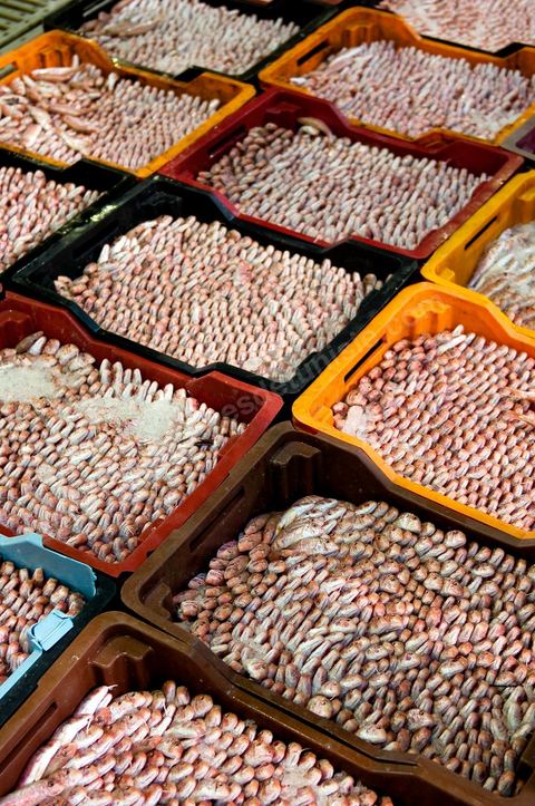caisses de poissons à la Halle aux poissons du marché de gros de Tunis à El Mourouj