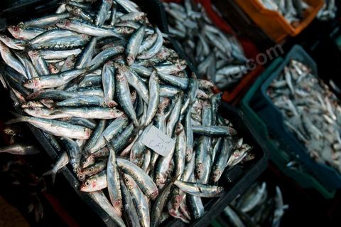 caisses de poissons à la Halle aux poissons du marché de gros de Tunis à El Mourouj