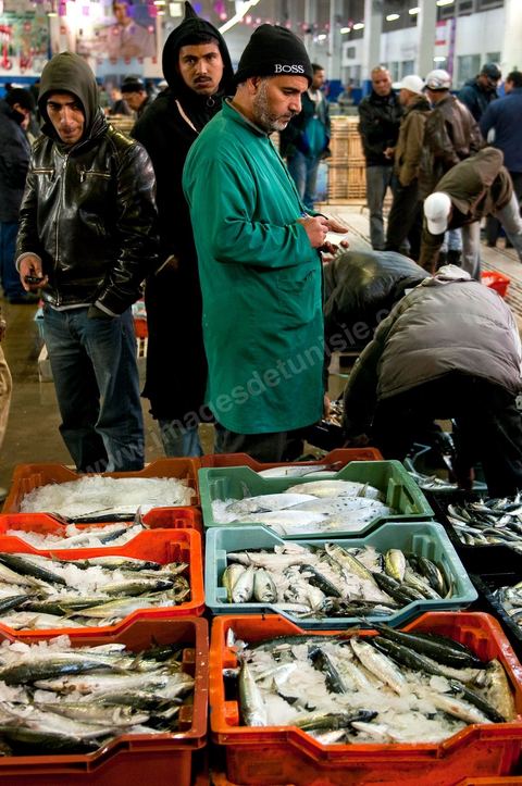 Vendeur avec caisses de poissons à la Halle aux poissons du marché de gros de Tunis à El Mourouj