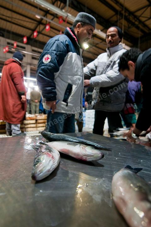 Poissons à la pesée à la Hall aux poissons du marché de gros de Tunis à El Mourouj