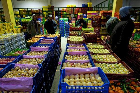 Etale et vendeurs de pommes à a la Halle aux fruits et légumes du marché de gros de Tunis à El Mourouj