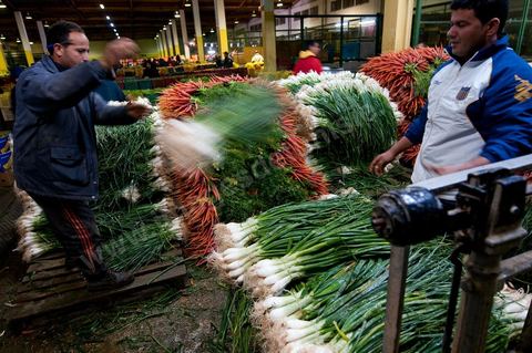 Etale et vendeurs de oignons et carottes à la Halle aux fruits et légumes du marché de gros de Tunis à El MouroujHalle aux fruits et légumes du marché de gros de Tunis à El Mourouj