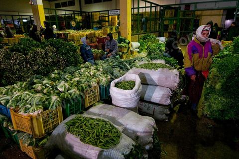 Etale et vendeurs de choux et petits pois à la Halle aux fruits et légumes du marché de gros de Tunis à El MouroujHalle aux fruits et légumes du marché de gros de Tunis à El Mourouj