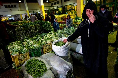Etale et vendeurs de choux et petits pois à la Halle aux fruits et légumes du marché de gros de Tunis à El MouroujHalle aux fruits et légumes du marché de gros de Tunis à El Mourouj