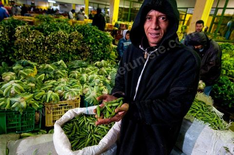 Etale et vendeurs de choux et petits pois à la Halle aux fruits et légumes du marché de gros de Tunis à El MouroujHalle aux fruits et légumes du marché de gros de Tunis à El Mourouj