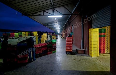 Entrée d'une des trois Halles aux fruits et légumes du marché de gros de Tunis à El Mourouj
