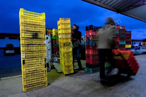 Entrée d'une des trois Halles aux fruits et légumes du marché de gros de Tunis à El Mourouj