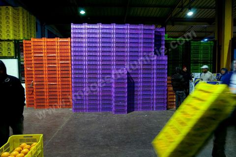 Chargement à l'entrée d'une des trois Halles aux fruits et légumes du marché de gros de Tunis à El Mourouj