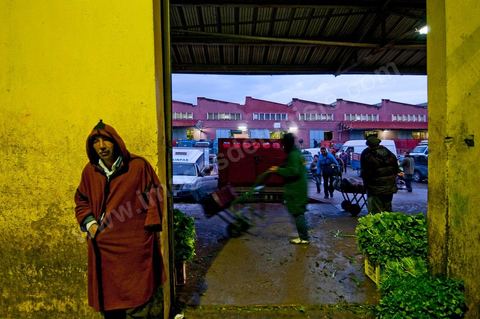 Chargement à l'entrée d'une des trois Halles aux fruits et légumes du marché de gros de Tunis à El Mourouj