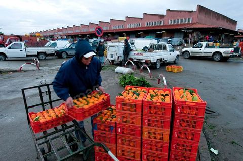 Chargement d'oranges devant la Halle aux fruits et légumes du marché de gros de Tunis à El Mourouj