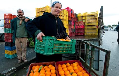 Chargement de légumes devant la Halle aux fruits et légumes du marché de gros de Tunis à El Mourouj